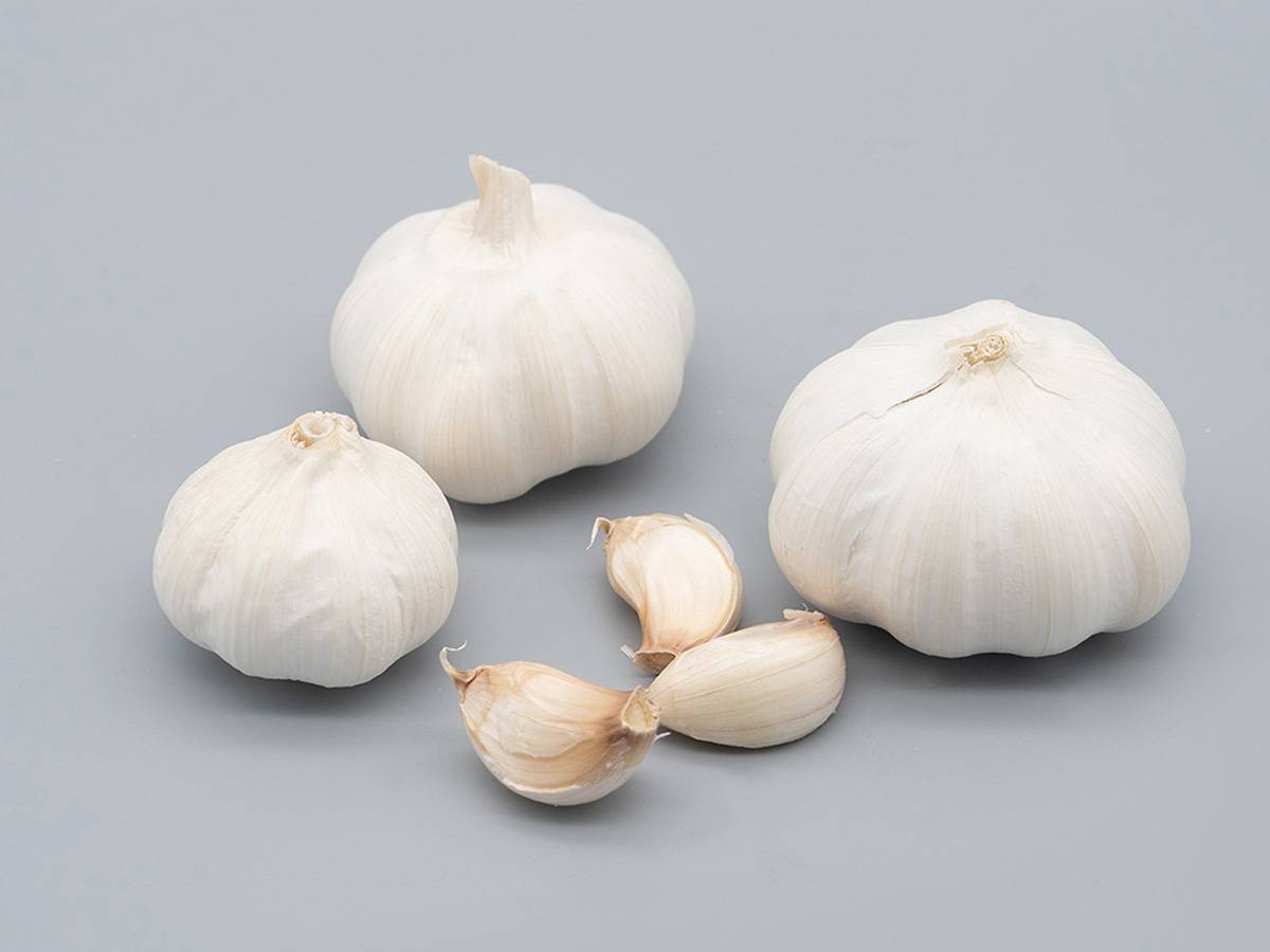 Pure White Fresh Garlic